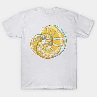 Chromatic albino ballpython T-Shirt